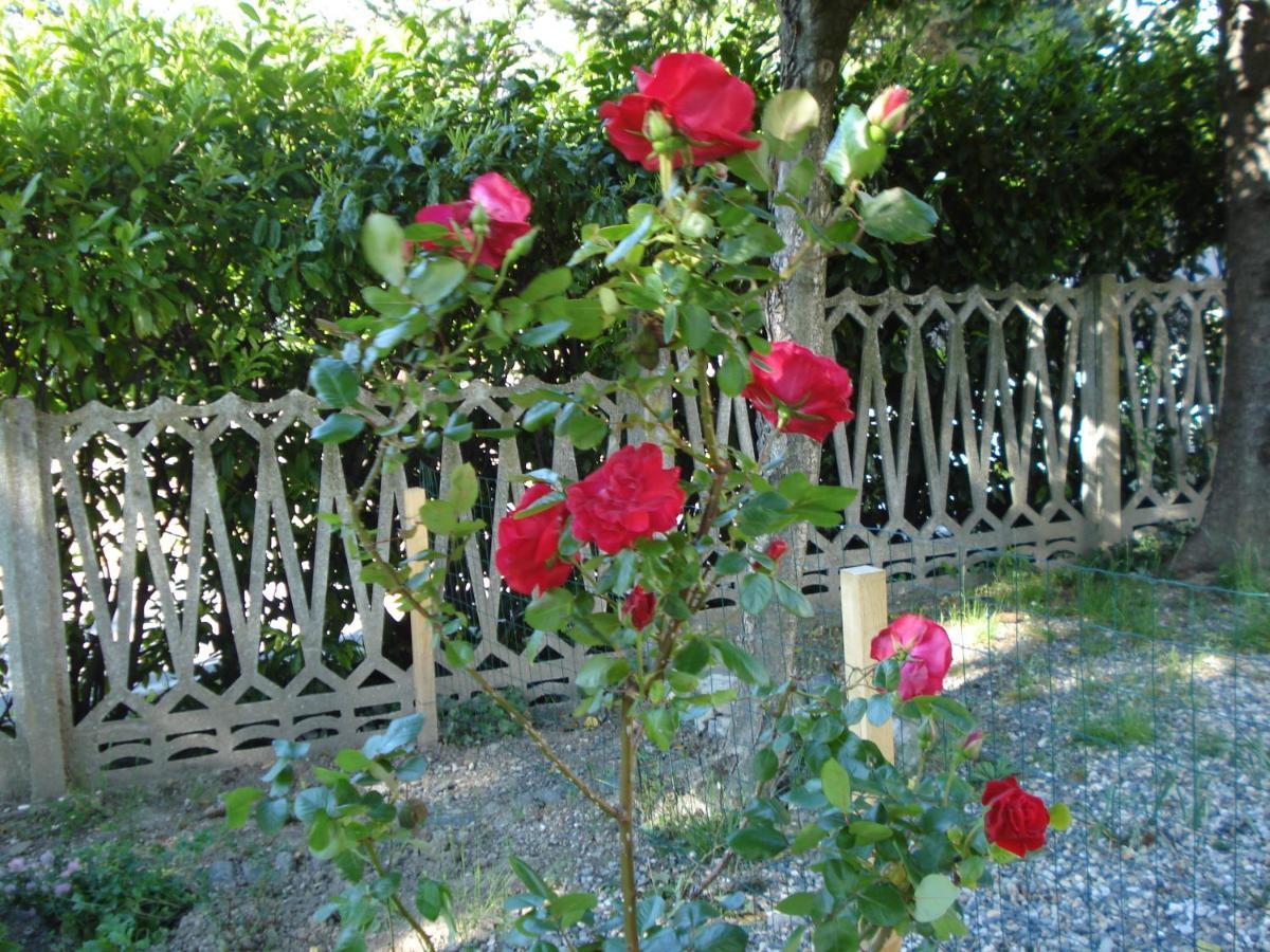 Casa T Bed And Breakfast & Home Restaurant Di Tacchino Simone Tagliolo Monferrato Bagian luar foto