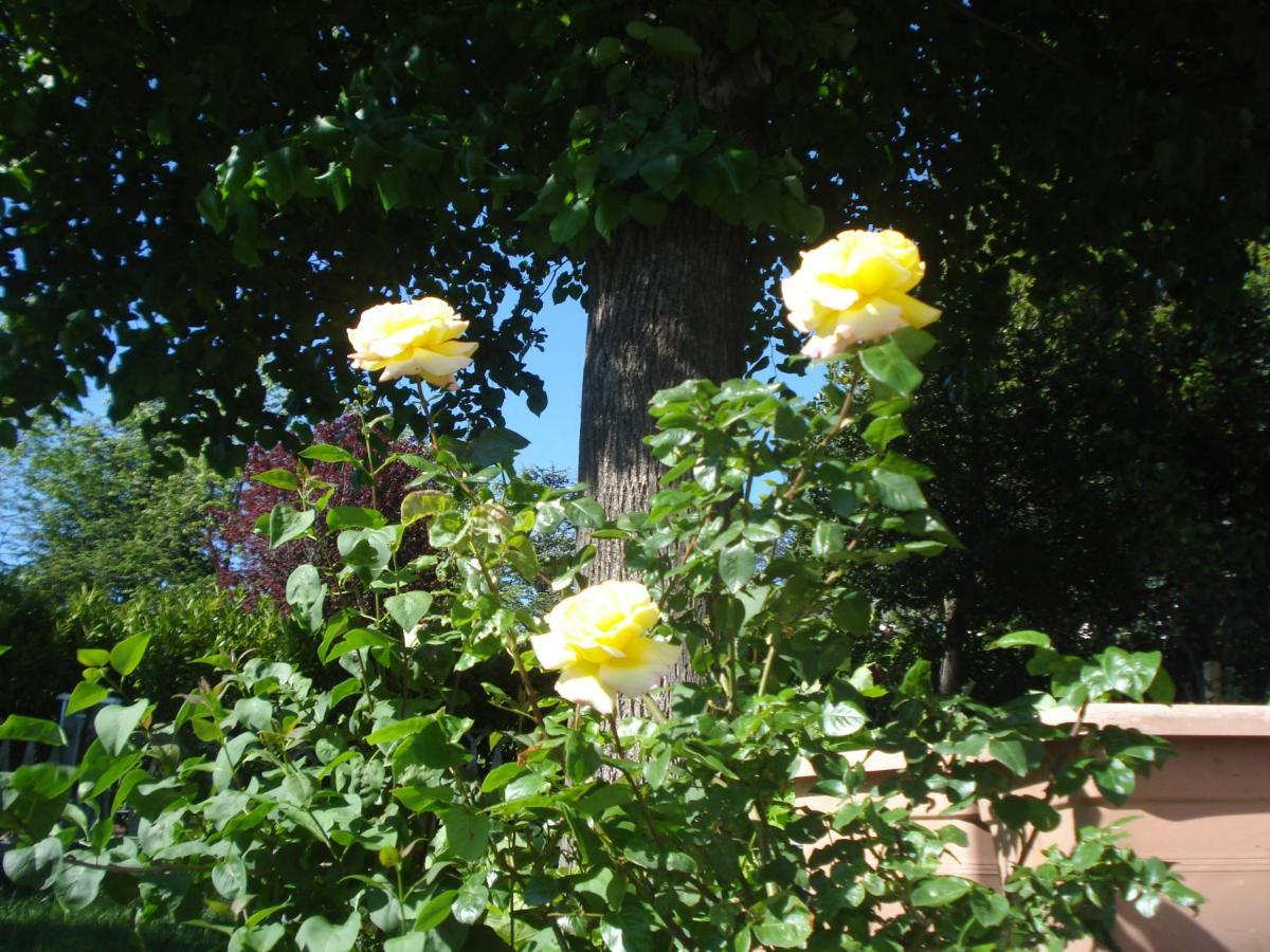 Casa T Bed And Breakfast & Home Restaurant Di Tacchino Simone Tagliolo Monferrato Bagian luar foto