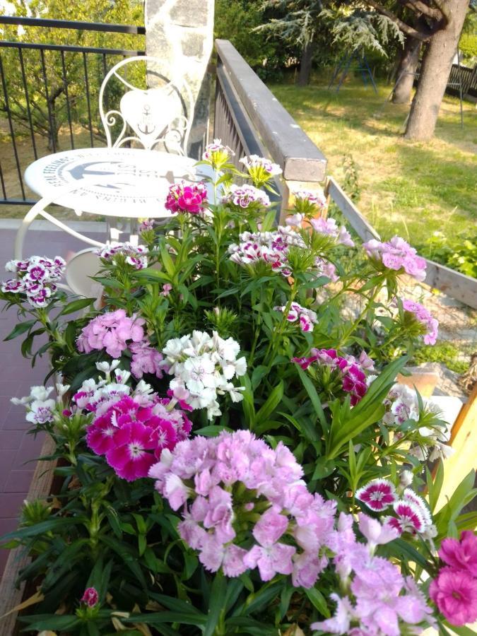 Casa T Bed And Breakfast & Home Restaurant Di Tacchino Simone Tagliolo Monferrato Bagian luar foto